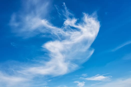 Landscape of a beautiful blue sky covered with cumulonimbus clouds on a summer afternoon. Unspoiled nature.