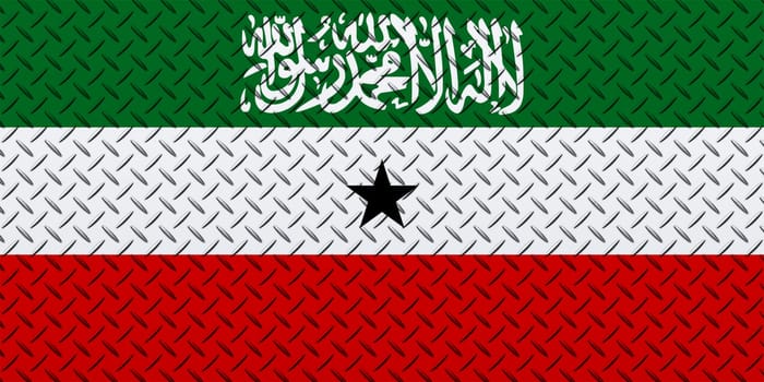 3D Flag of Somaliland on a metal wall background.