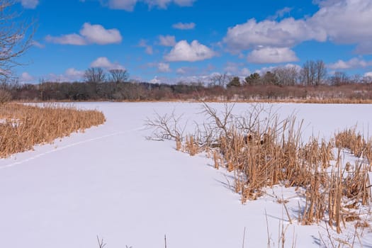 White Blanket Over a Frozen Wetland in the Crabtree Nature Preserve in Illinois