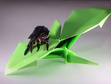 A beetle on a green leaf made with origami technique.