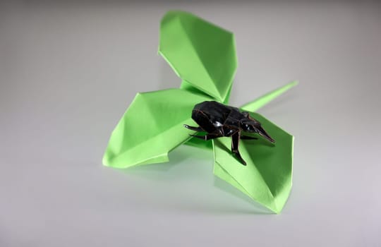 A beetle on a green leaf made with origami technique.