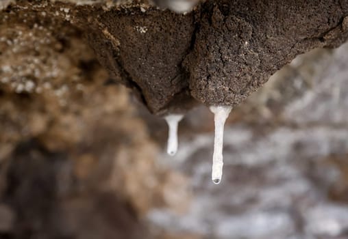 On a rocky outcrop on the coast, small stalactites are formed by mineral-rich water seeping through the rock.
