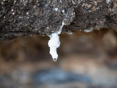 On a rocky outcrop on the coast, small stalactites are formed by mineral-rich water seeping through the rock.