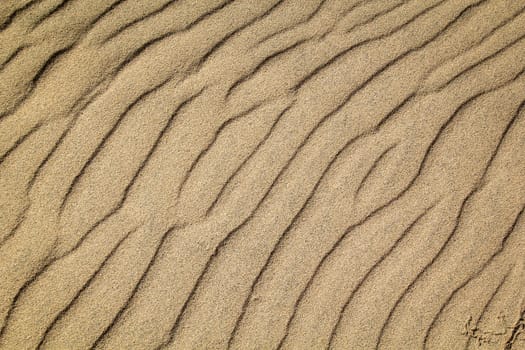 A texture of sand on the beach created by wind and waves.