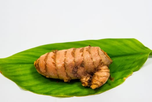 turmeric root on a turmeric leaf in a closeup