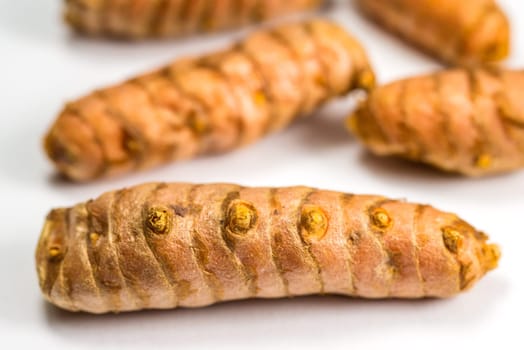 turmeric roots in a closeup