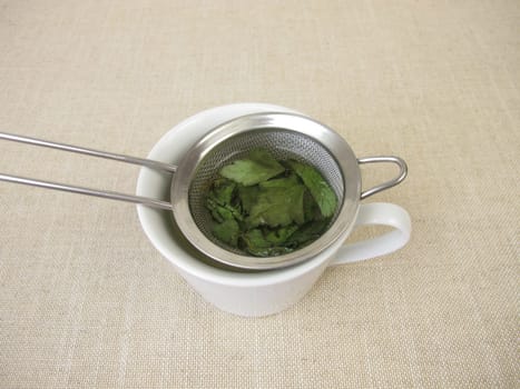 A cup of herbal tea with dried goutweed in a tea strainer