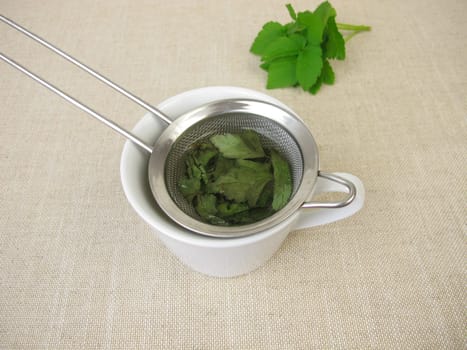 A cup of herbal tea with dried goutweed in a tea strainer