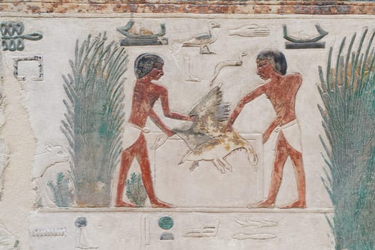 painted Egyptian limestone relief from the Old Kingdom, 5th dynasty with an agricultural scene
