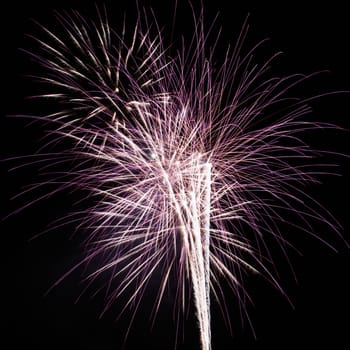 Colorful fireworks exploding in night sky.