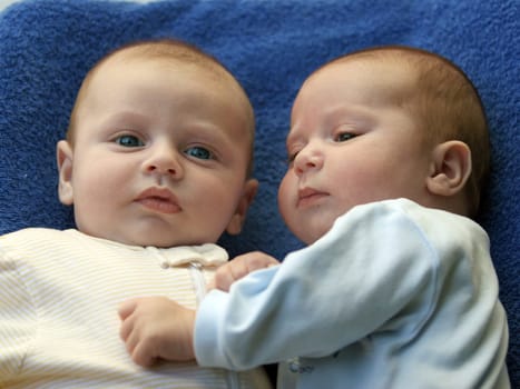 Two baby boys twin brothers