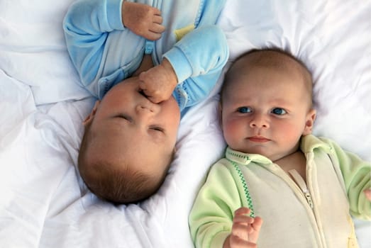 Two baby boys twin brothers
