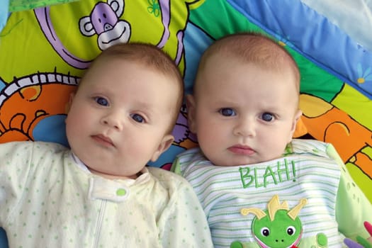 Two baby boys twin brothers