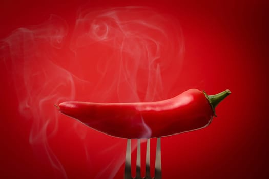 Steaming red pod of red hot jalapeno peppers on a fork on red background. Copy space