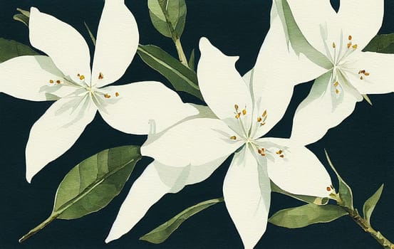 Jasminum officinale, common jasmine. Jasmine is a genus of shrubs and vines in the olive family (Oleaceae).