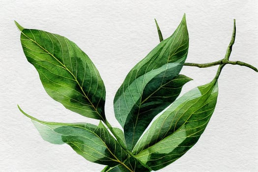 Ylang-ylang is one of the most extensively used natural materials in the perfume industry, earning it the name "Queen of Perfumes""."
