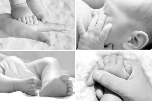 baby's life