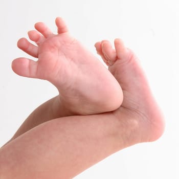 close-up of sweet little newborn baby feet