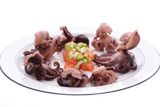 Plate of cooked baby octopus
