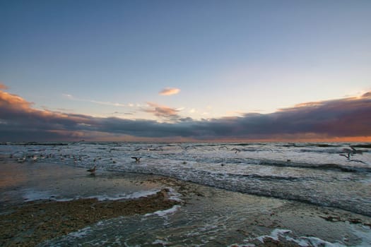 Sunset on the beach in Denmark. Waves rolling over the sand. Walk on the coast. Landscape photo by the sea