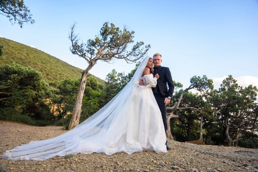 The bride in a long white dress and the groom in a suit stand against the backdrop of an old forest and mountains.