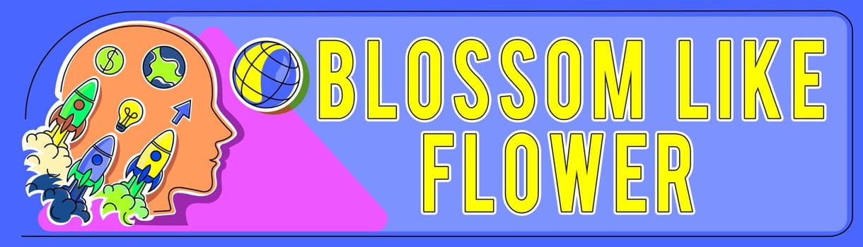 Conceptual display Blossom Like Flower, Business approach person with good qualities that radiates love, happiness, and beauty Head Silhouette Bursting Out With Ideas As Rocket Symbols .