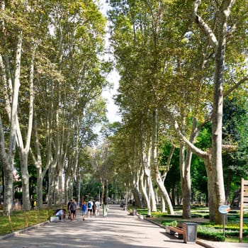 Istanbul, Turkey - August 30, 2022: Pedestrians walking in a passage with huge green trees in Gulhane Park in summer time, Sultan Ahmet district