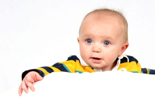 Little Cutie taken closeup