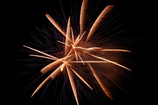 A 4th of July firework in Skokie, IL.