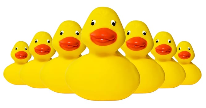 Group in a row of typical plastic yellow rubber ducks.