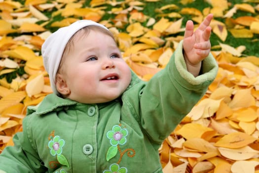 baby at a park in Autumn