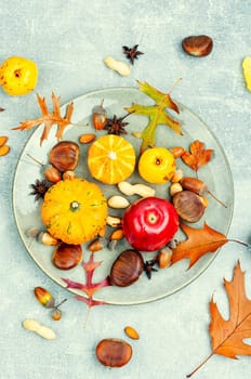 Squash with autumn fruit, apples, and nuts ,close up. Autumn still life, gourds
