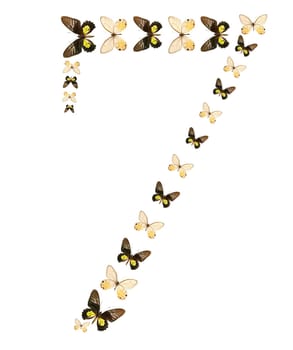 Seven number butterfly show isolated
