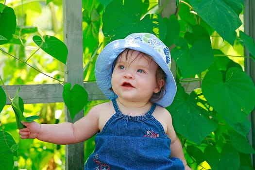 Cute Little Baby Holding a Leaf