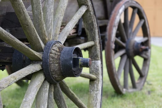 Wheels of a horse-drawn carriage with spokes and axles