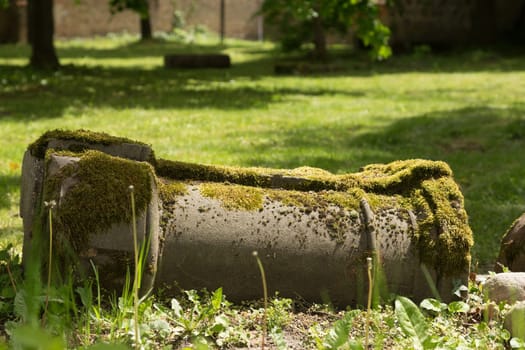 Fallen column with moss cover