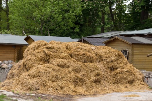 Misthaufen on a farm in Brandenburg