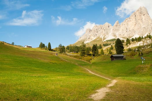 View of a path in a valley in the Dolomities with green meadow, blue sky and a mountain in the background