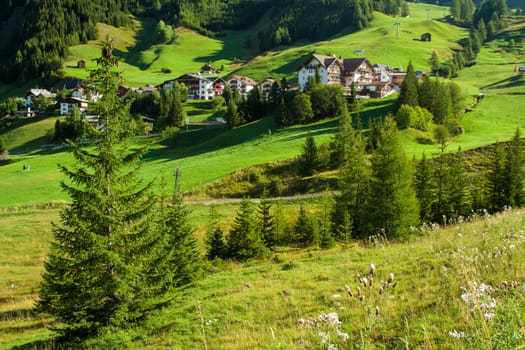 Fir in foreground with the background a village surrounded by a mountain valley