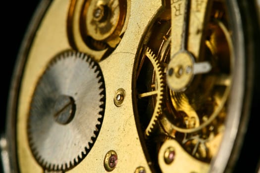 golden gear macro close up