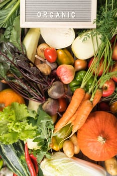 Mix of different fresh garden vegetables and fruits, top view. Table full of organic ripe seasonal harvest. Nitrate free food or healthy diet concept. Balanced nutrition. Cooking ingredients.