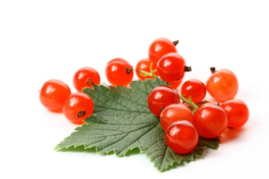 red currant and green leaf isolated on white background