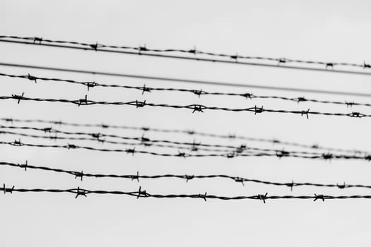 Barbed wire fence in Auschwitz Nazi concentration and extermination camp in Poland