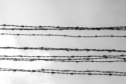 Barbed wire fence in Auschwitz Nazi concentration and extermination camp in Poland