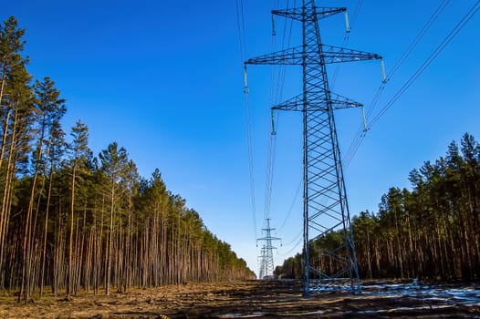 Towers with wires for high-voltage power transmission lines. High voltage line. Electric wires. Industrial towers. Energy business. Pine forest. Blue sky. Industrial horizon. Ecology.