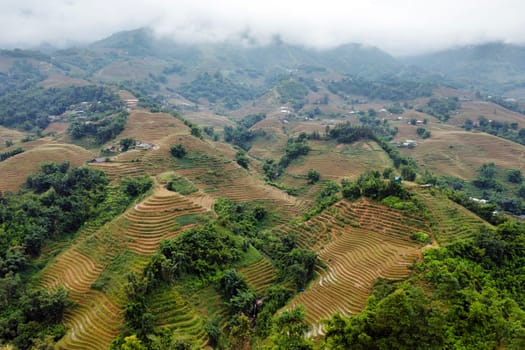 rice terraces of sapa vietnam