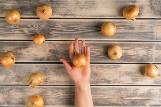 Bunch of unpeeled white onions on faded wooden table, top view. Human hand hold farm vegetables. Organic food or healthy diet concept. Separated location in order. Planking. Culinary and cooking.