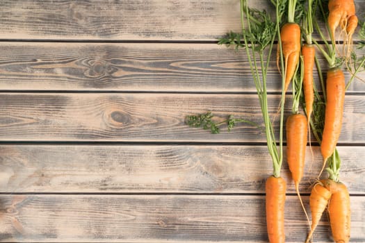 Vertical line of fresh ripe carrots on faded wooden table, top view. Raw vegetables arranged in order. Organic food or healthy diet concept. Location of objects. Planking. Place for text.