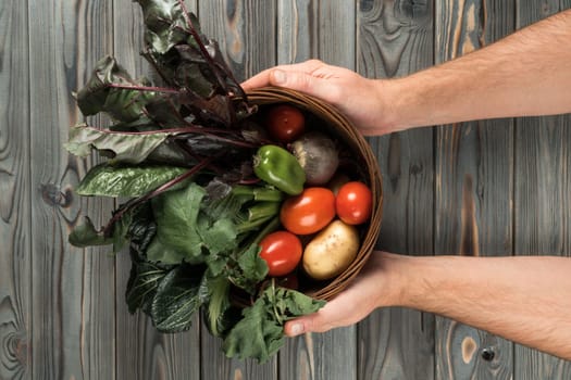 Wicker basket with different fresh farm vegetables on gray wooden table. Human hands hold bowl full of ripe harvest. Food or healthy diet concept. Vegetarian. Nitrate free nutrition.
