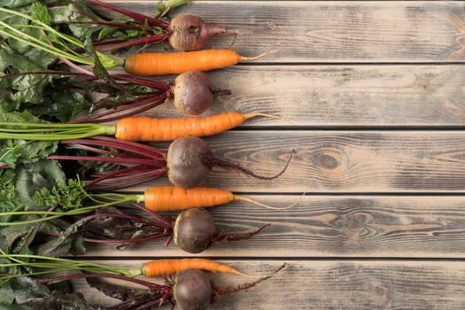 Vertical row of sequentially located fresh beets and carrots with long green haulm on wooden table, top view. Farm vegetables, vitamins. Organic food or healthy diet concept. Objects layout. Planking.